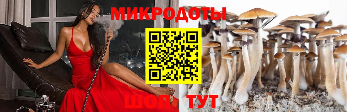Галлюциногенные грибы MAGIC MUSHROOMS  купить закладку  Кандалакша  Вход с VPN 